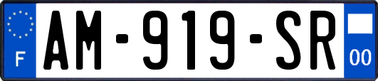 AM-919-SR