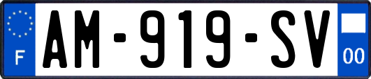 AM-919-SV