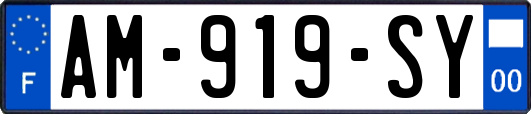 AM-919-SY