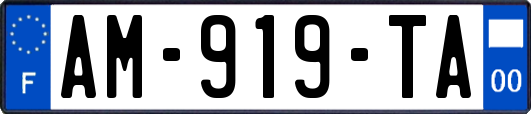 AM-919-TA
