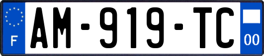 AM-919-TC