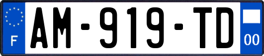 AM-919-TD