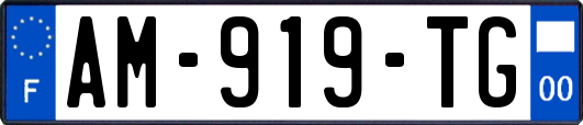 AM-919-TG