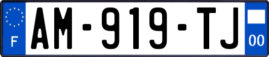 AM-919-TJ