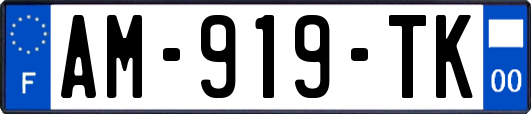 AM-919-TK