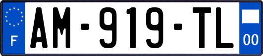 AM-919-TL