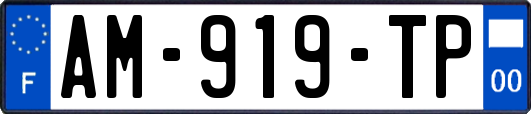 AM-919-TP