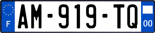 AM-919-TQ