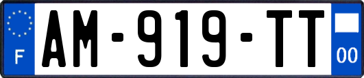 AM-919-TT