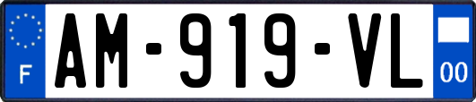 AM-919-VL
