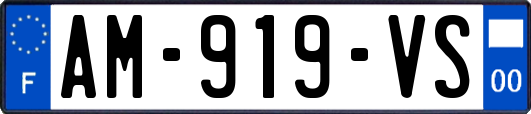 AM-919-VS