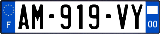 AM-919-VY