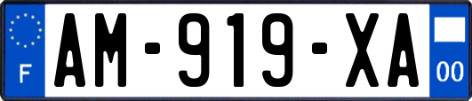 AM-919-XA