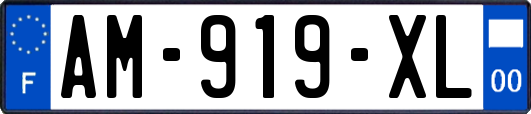 AM-919-XL