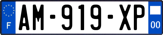 AM-919-XP