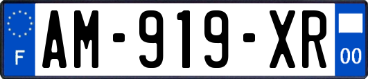 AM-919-XR