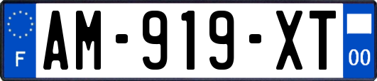 AM-919-XT