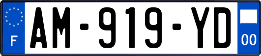 AM-919-YD