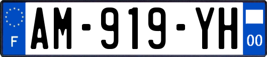 AM-919-YH