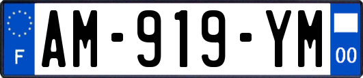 AM-919-YM