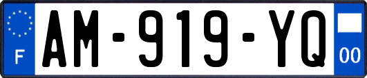 AM-919-YQ