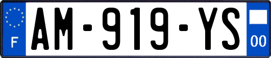 AM-919-YS