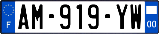 AM-919-YW
