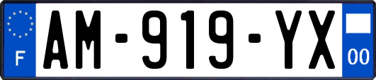 AM-919-YX