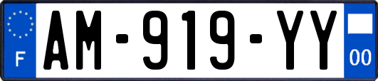 AM-919-YY