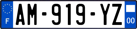 AM-919-YZ