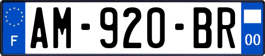 AM-920-BR