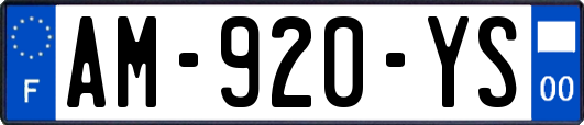 AM-920-YS