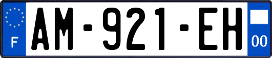 AM-921-EH