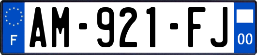 AM-921-FJ