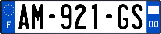AM-921-GS