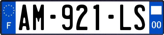 AM-921-LS