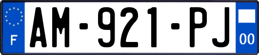 AM-921-PJ