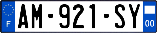AM-921-SY