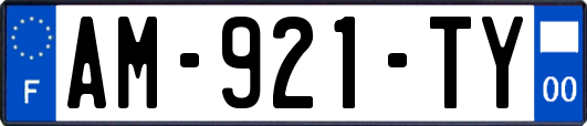 AM-921-TY