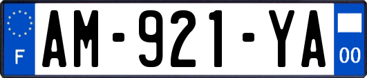 AM-921-YA