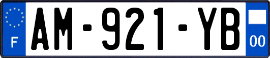 AM-921-YB