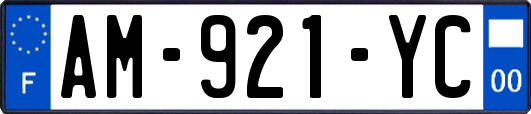 AM-921-YC