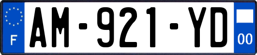 AM-921-YD
