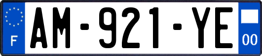 AM-921-YE