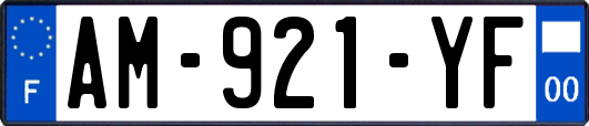 AM-921-YF