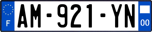 AM-921-YN