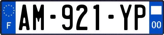 AM-921-YP