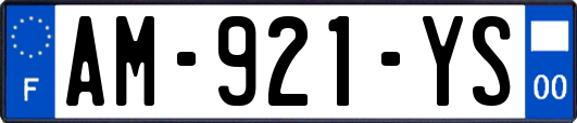AM-921-YS