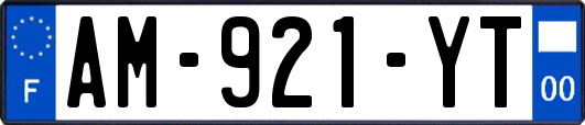 AM-921-YT