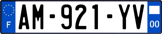 AM-921-YV